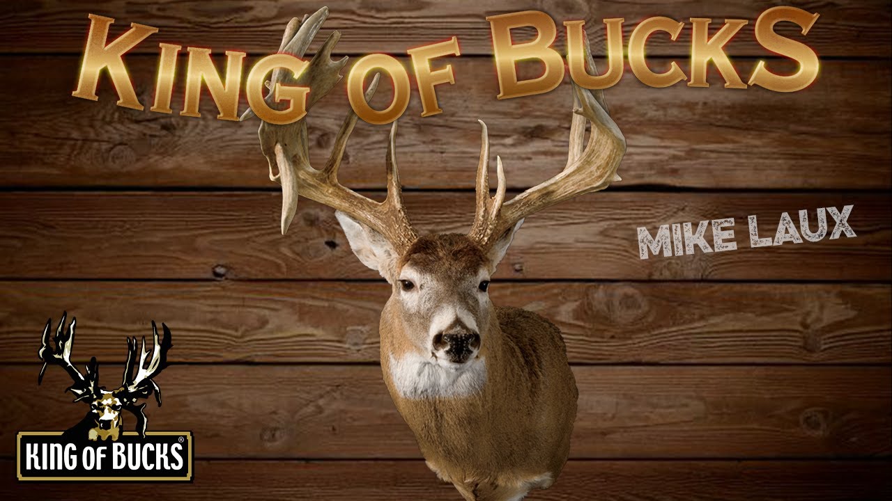 Mike Laux | King Of Bucks