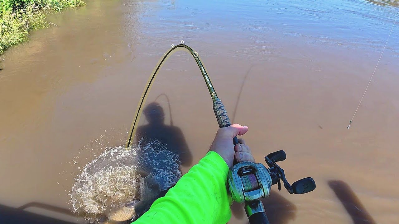 THE STRANGEST Catch Of My Life!!! (River Fishing)