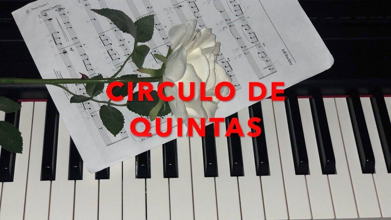 CIRCULO DE QUINTAS Y CUARTAS - PIANO PARA PRINCIPIANTES #16