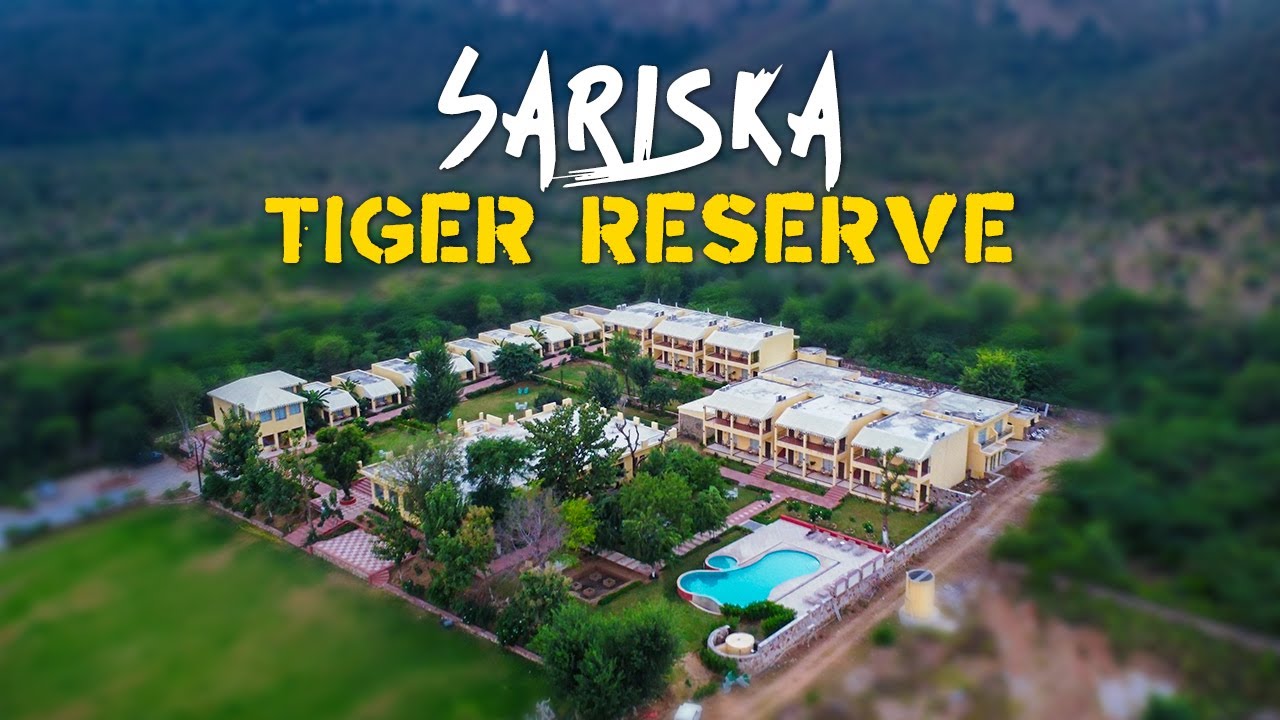 Exploring Sariska Tiger Reserve - 4K Video
