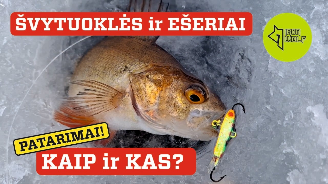 ĮNORINGI EŠERIAI❓🐟❄️🎣 Kokius „IRON WOLF“ balansyrus ir įrankius RINKTIS❓😎👌