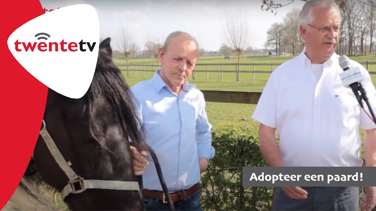 Adopteer een paard! Steun manege SPG ’t Leijerweerd!