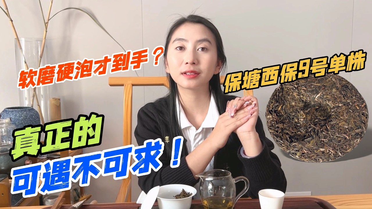 軟磨硬泡才到手？保塘西保9號單株，真正的可遇不可求！購普洱茶請加微信WeChat或Line：QLDC2003#茶 #茶叶 #普洱茶 #古树茶#老班章 #tea #喝茶 #茶葉 #古樹茶
