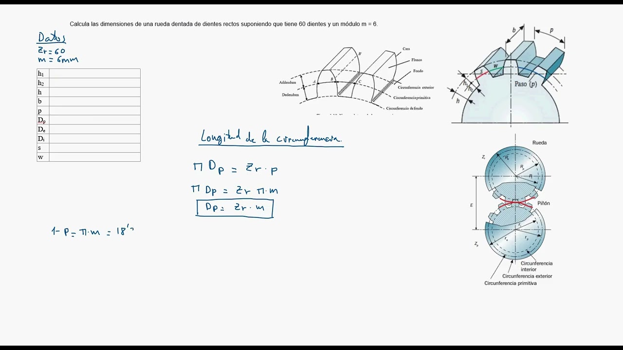 1ºBº Dimensiones de una rueda dentada