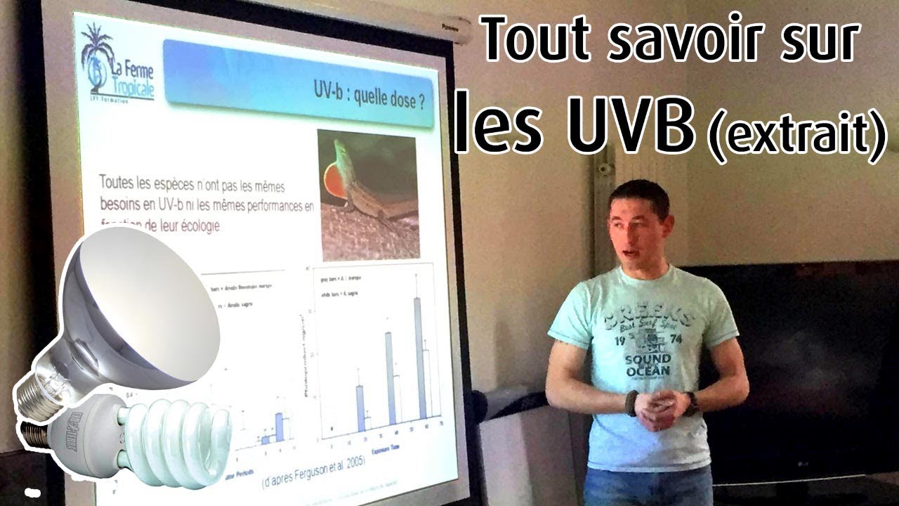 Extrait du cours sur les UVB - formation CDC