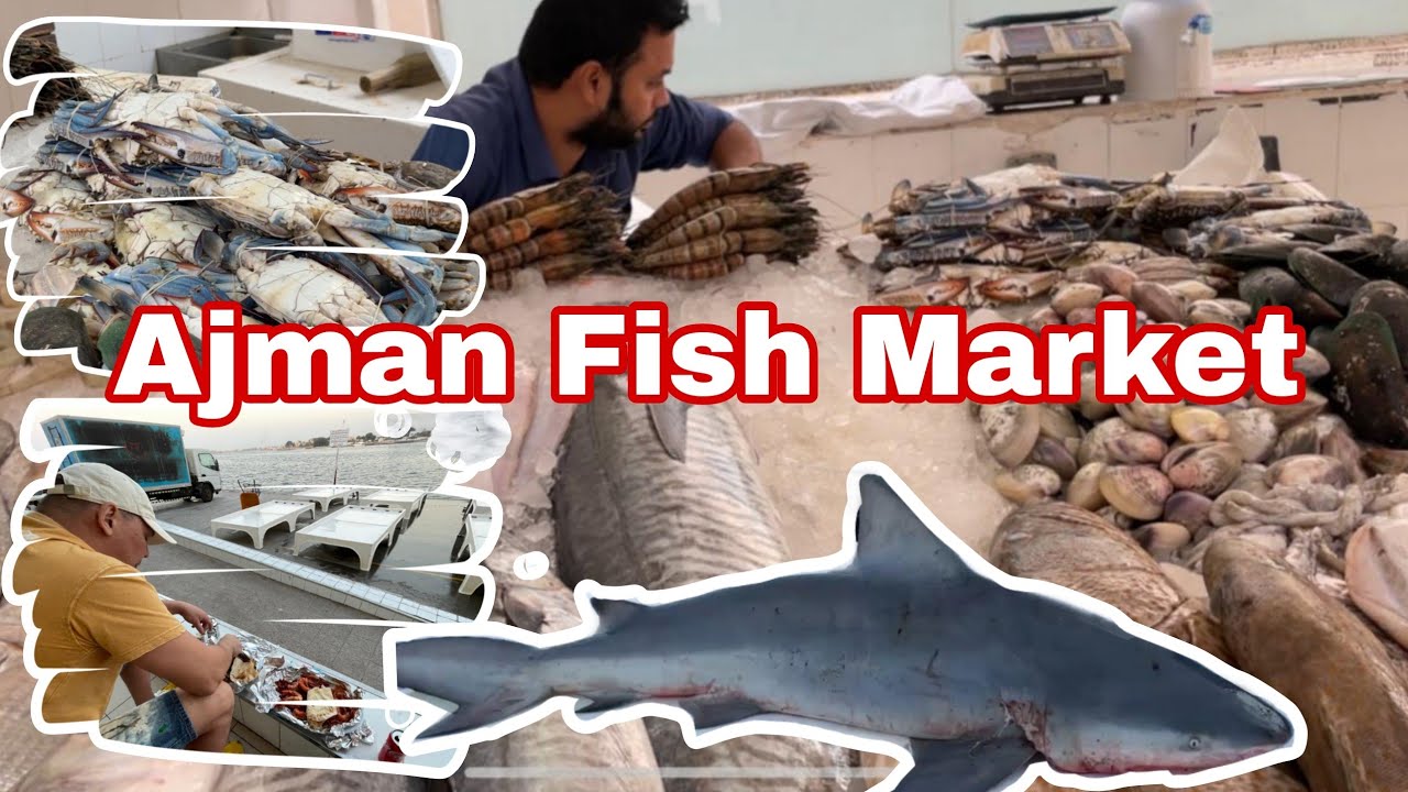 Рыбныи рынок в Аджмане.  Ajman Fish Market