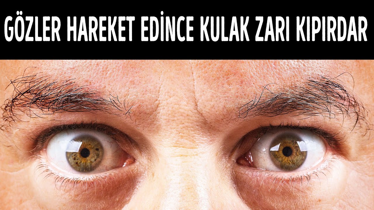 Son On Yılda Ortaya Çıkan Akıllara Durgunluk Veren Keşifler