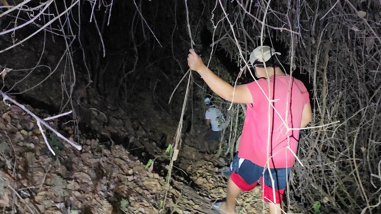 Por Poco Nos Caemos al Barranco en Esta Peligrosa Aventura Nocturna 