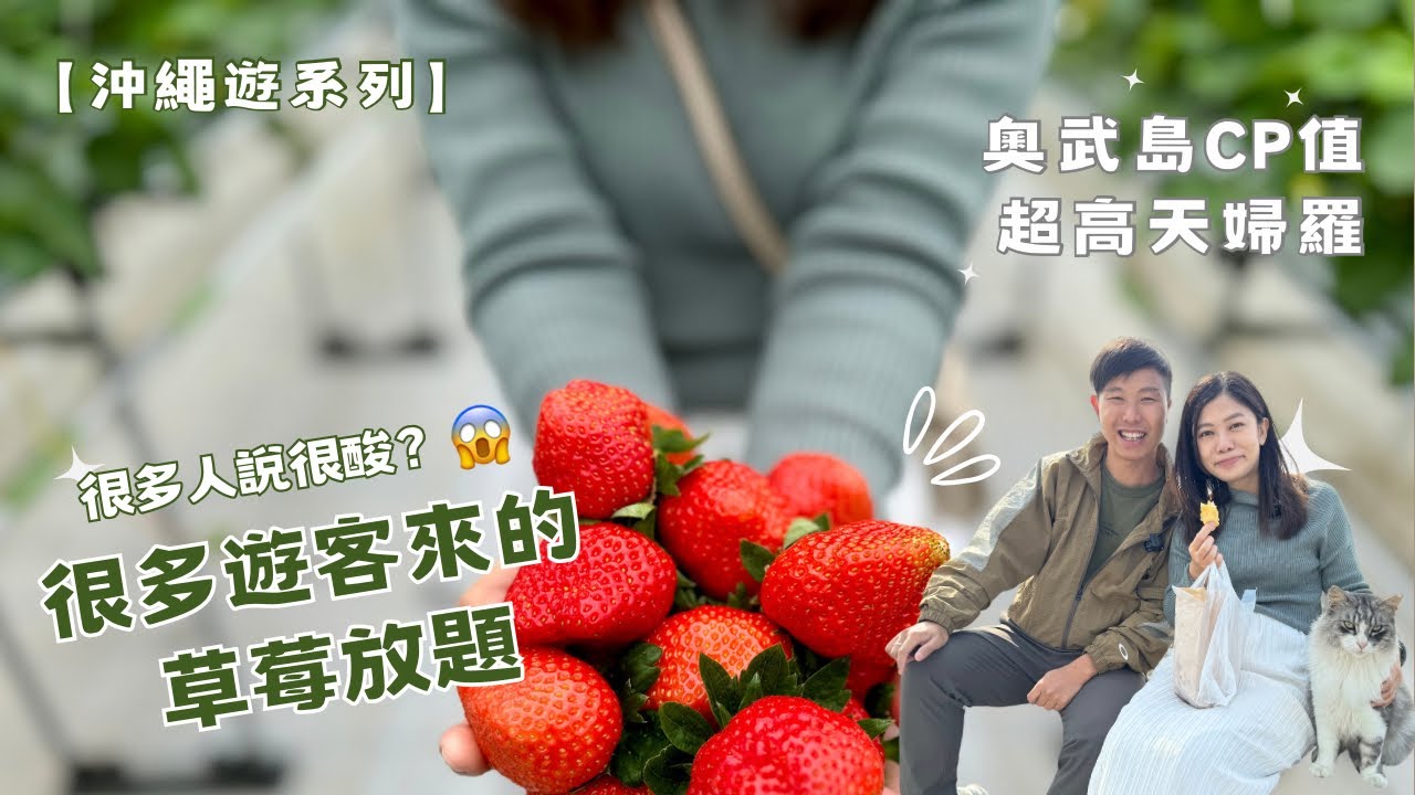 【🇯🇵沖繩草莓放題攻略】很多遊客來的🍓草莓放題 ︳奧武島CP值超高天婦羅 ︳放空自我的🐱貓之島 ︳#沖繩旅遊 #沖繩自駕遊 #沖繩自由行