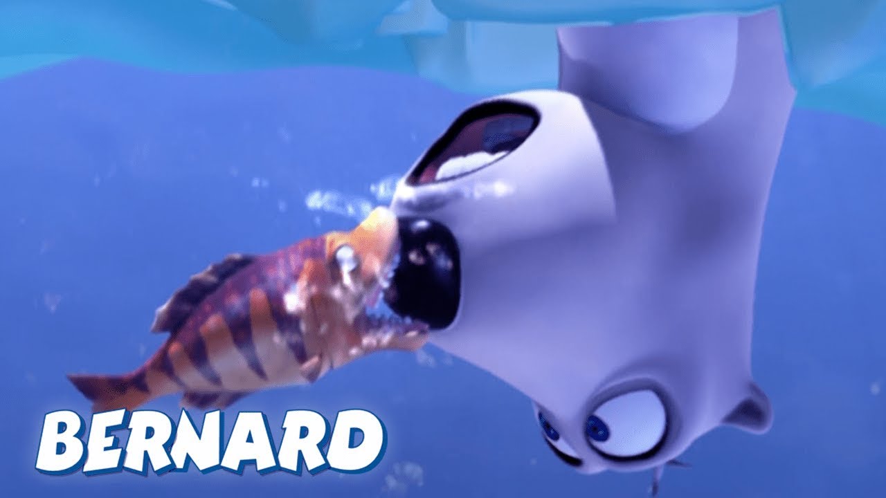Bernard Bear | Ice Skating and more | 30 min Compilation | Cartoons for Children