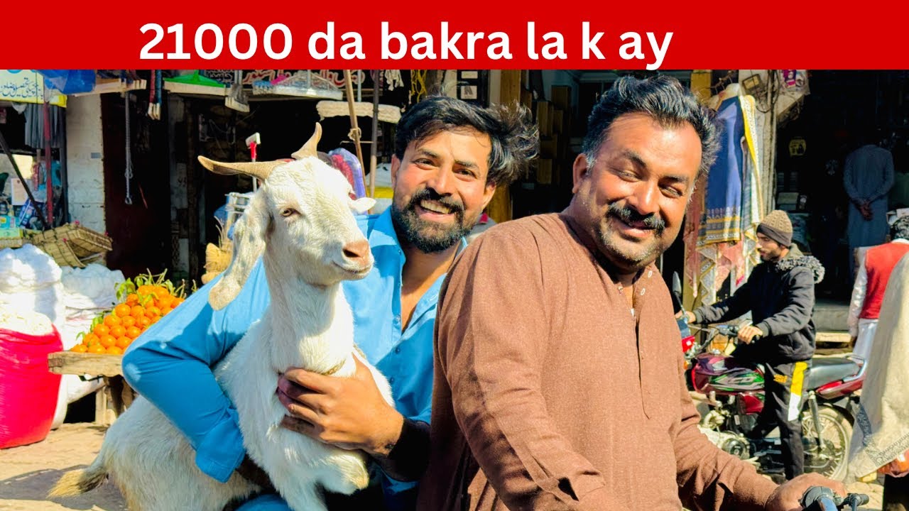 Bakra la k ay 21000 da paka k khalya 😂😂