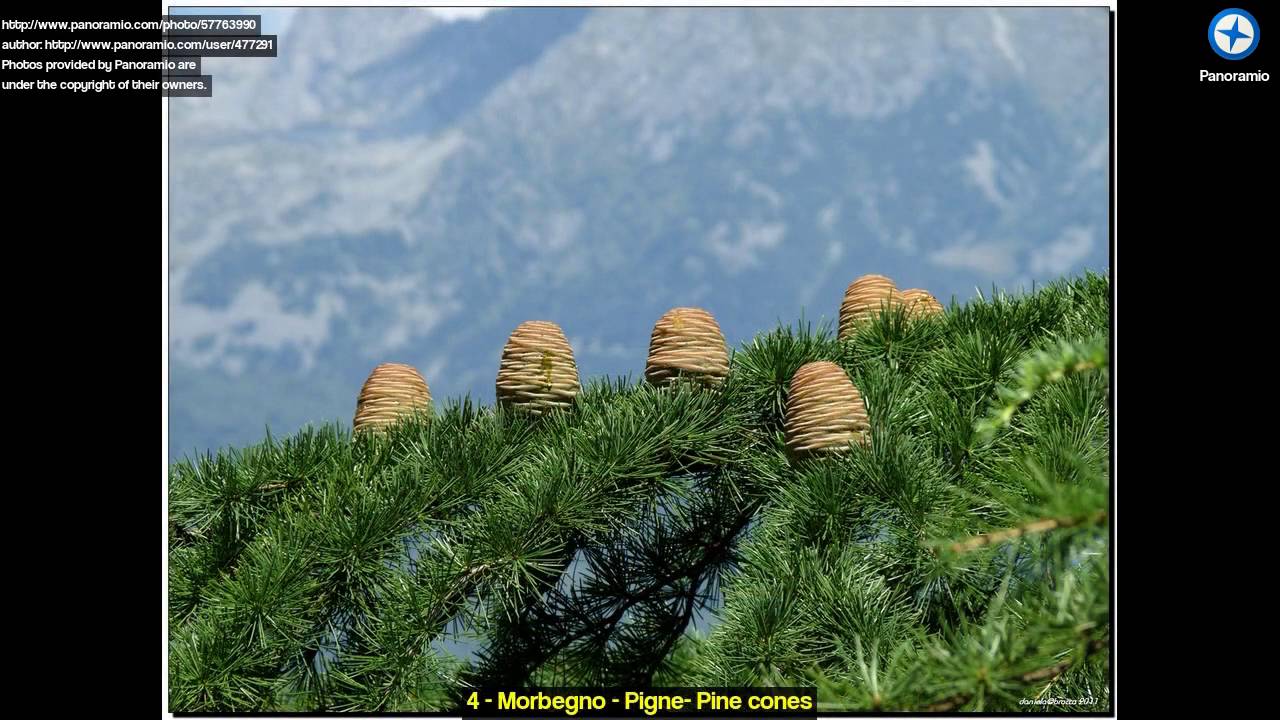 Discover Morbegno Italy