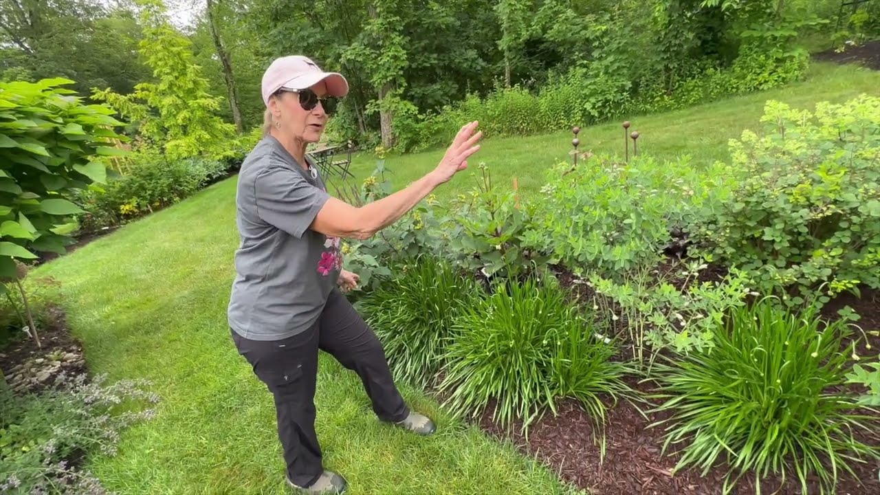 Let's Talk about Alliums, Alliums and more Alliums! It’s Time to order! 🌷