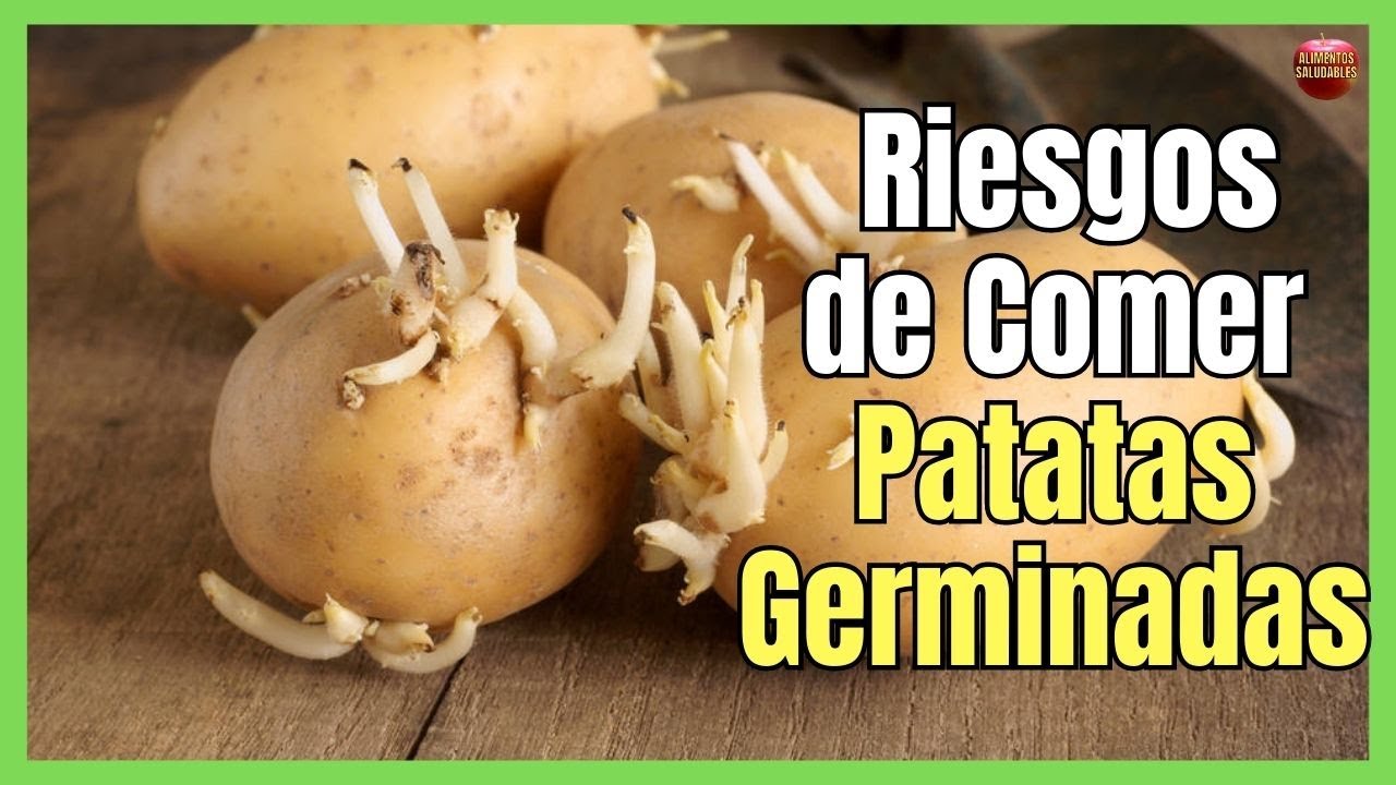 ¿QUÉ PELIGRO SE ESCONDE EN CONSUMIR PATATAS CON BROTES?