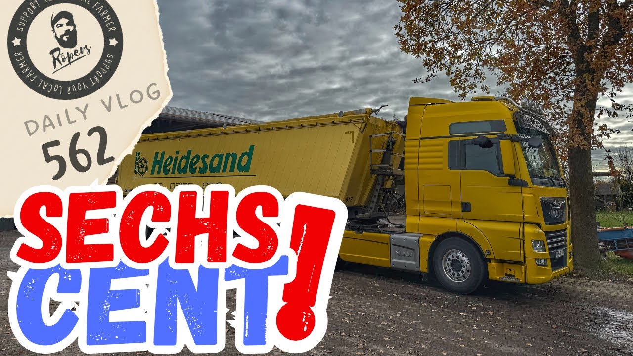 Die ersten Speisekartoffeln ausgelagert💰 (VLOG 562)