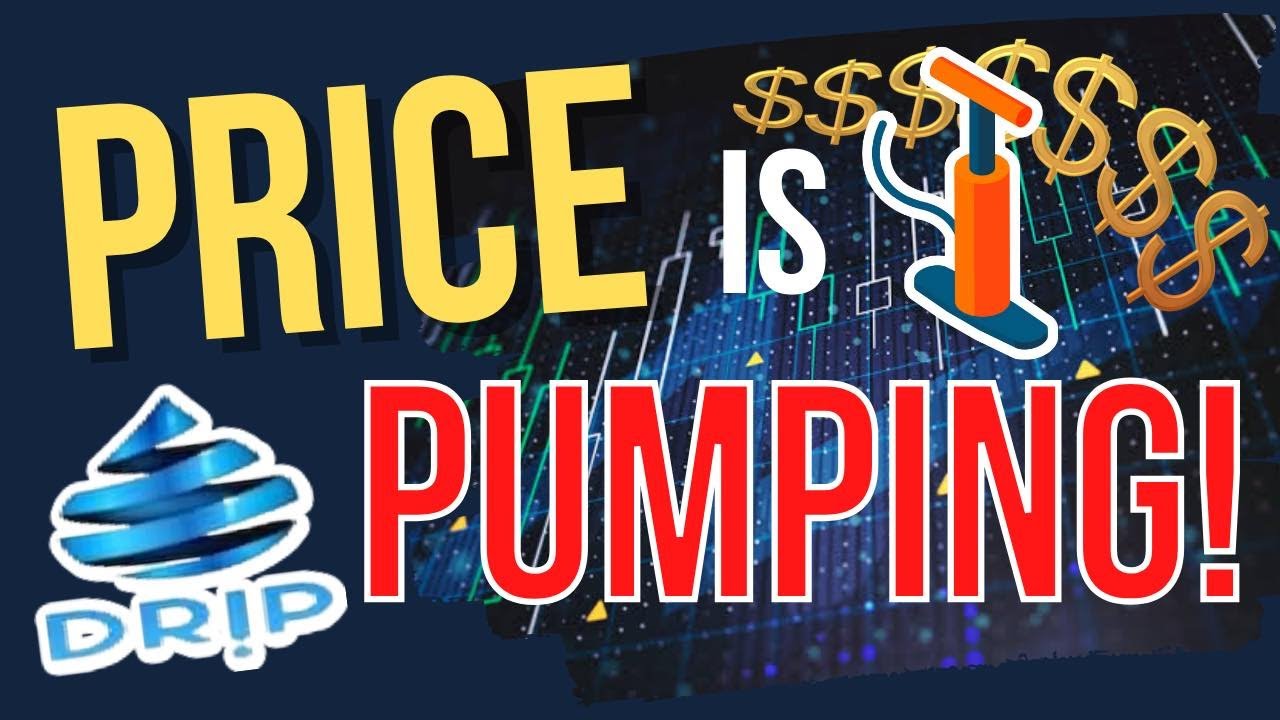 Drip Price is Pumping | Announcement from Forex Shark