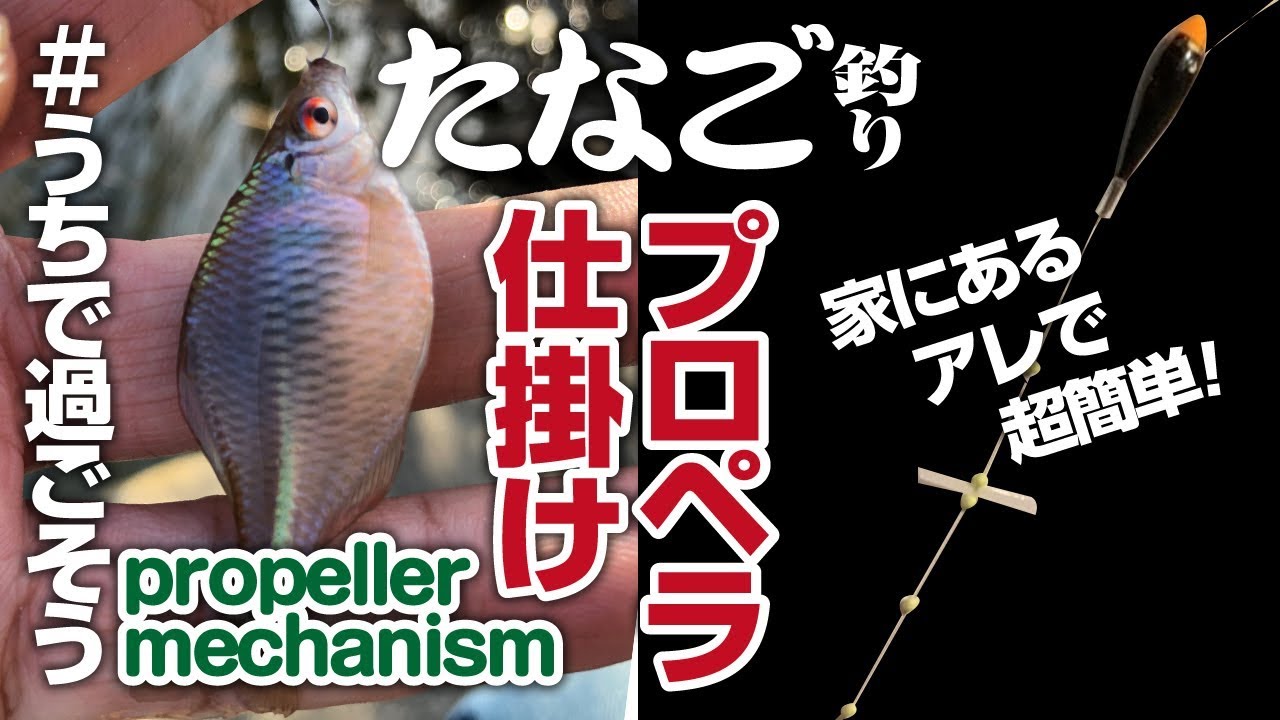 【タナゴ釣り仕掛け】タナゴ釣り プロペラ仕掛け作ります！ お家で過ごそう  Tanago Fishing Wazao