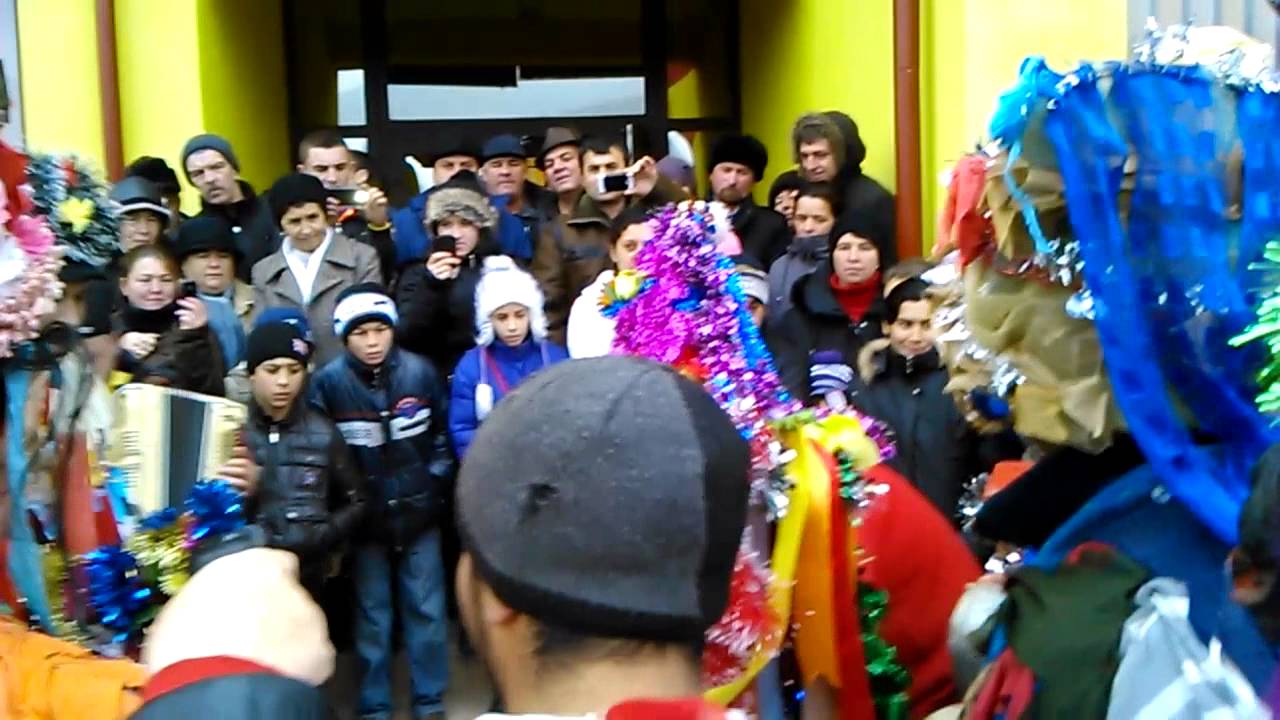 Capra. Calini colonesti 2014
