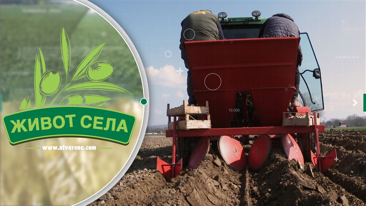 Uz idealne uslove završena sjetva industrijskog krompira u Semberiji