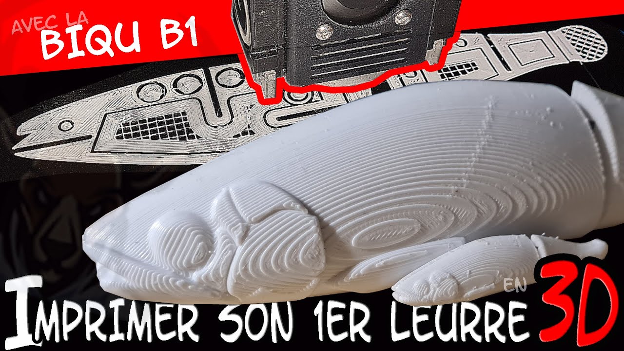 Imprimer son 1er leurre en 3D avec la Biqu B1 - Introduction