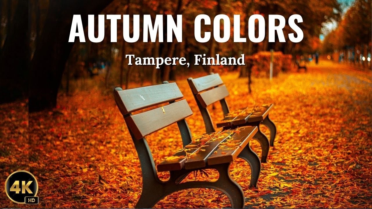 Autumn Colors in Finland | Peaceful Forests, Fall Colors & Nordic Vibes 🍂