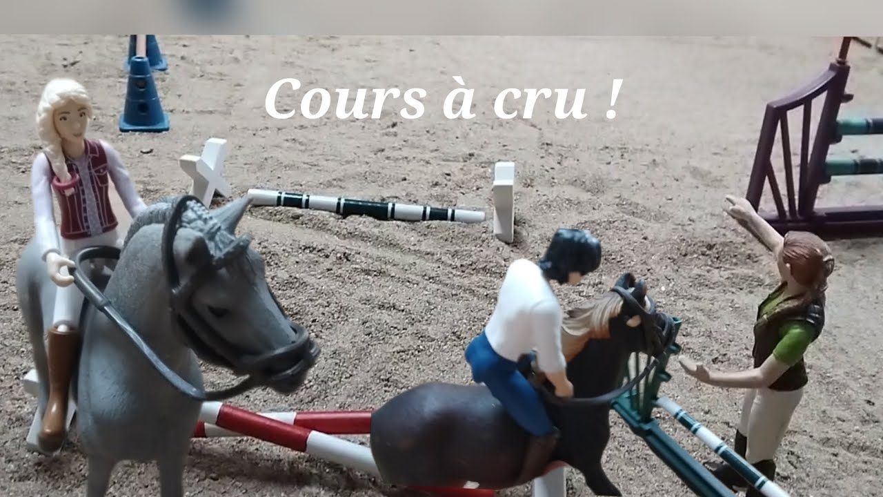 VLOG du jeudi 8 janvier À CRU !!!