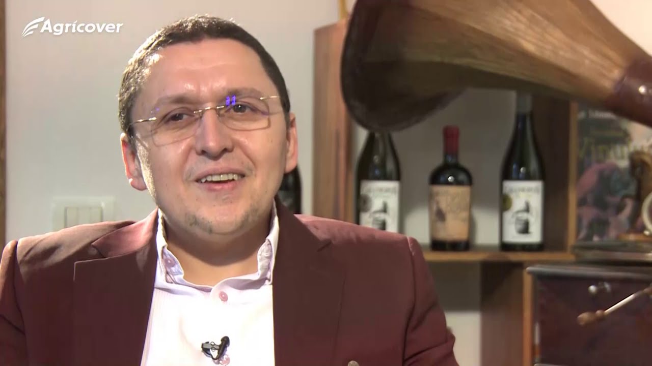 Portret Gramofon Wine - Marcel Pascu și Marcel Vulpoi