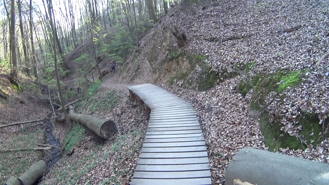 EMTB Siebengebirge Tretschbachtal runter