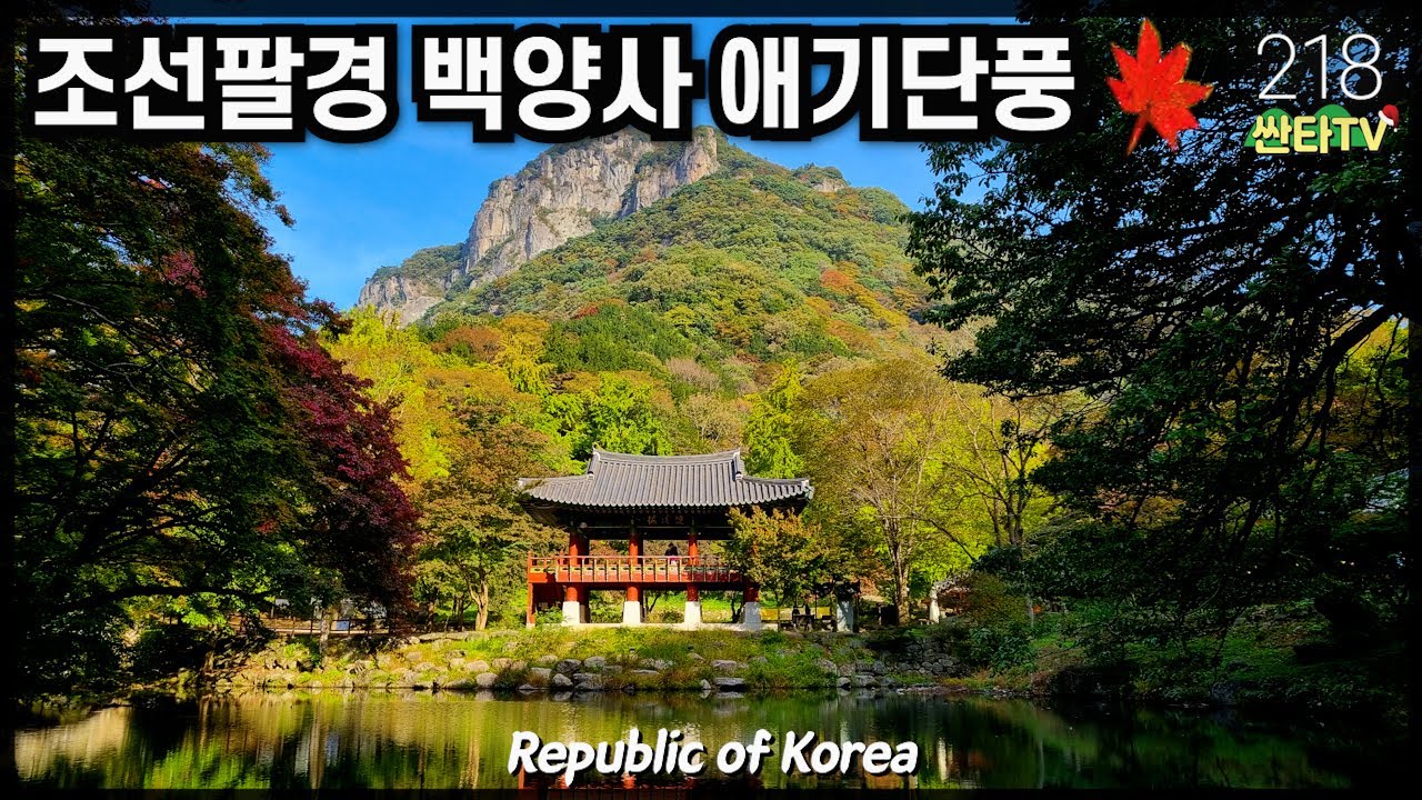 11월초 절정에 이르는 '백양사 애기단풍'ㅣ내장산국립공원ㅣ전남 장성 백암산