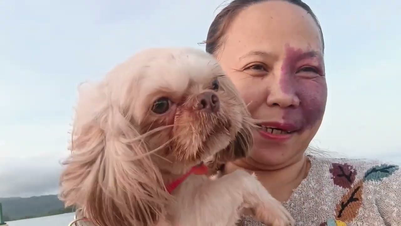 With our Doggies #travel #dog #dogloversdog #sea #seaside #youtube 