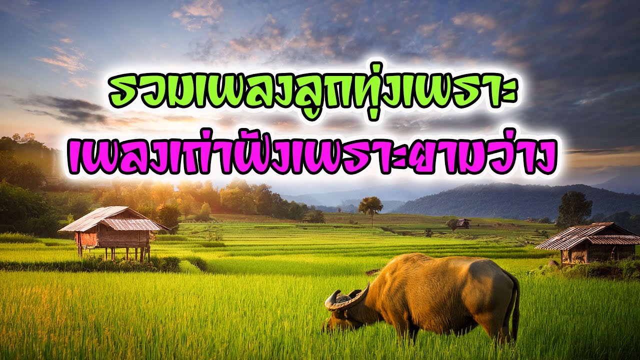 รวมเพลงลูกทุ่งเพราะ เพลงเก่าฟังเพราะยามว่าง