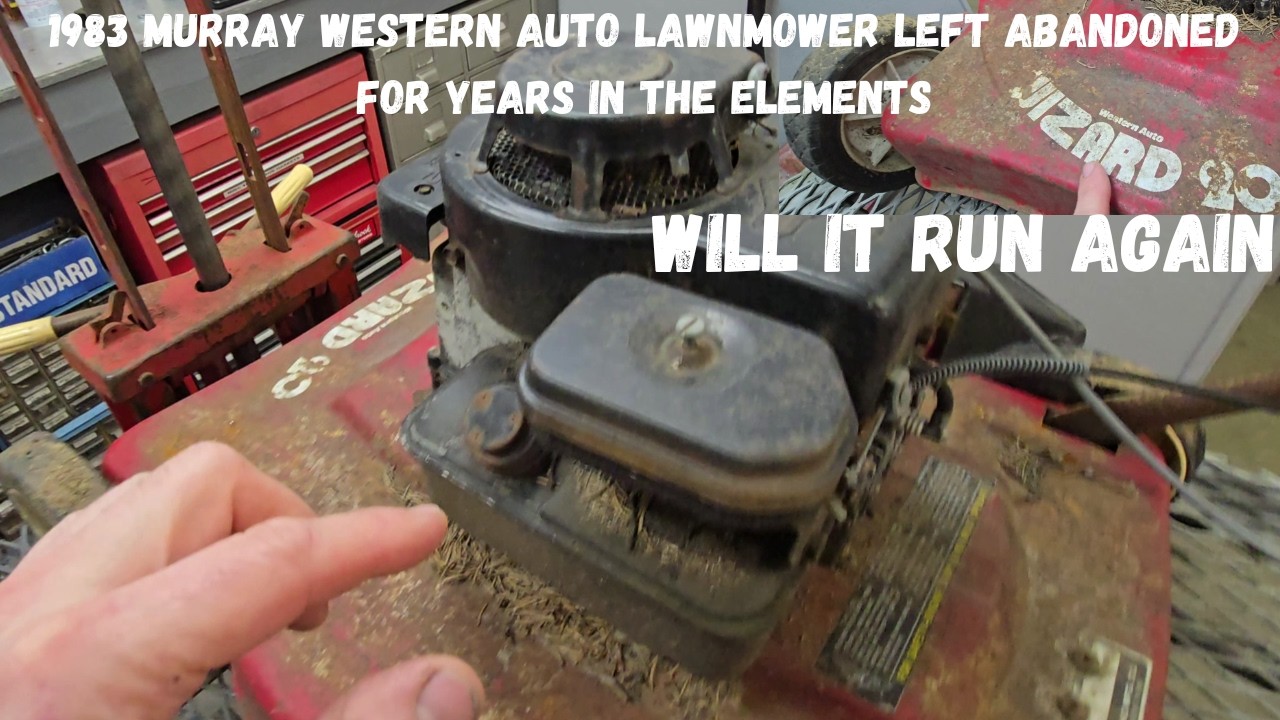 THIS Briggs & Stratton was a PATIENCE test like no other