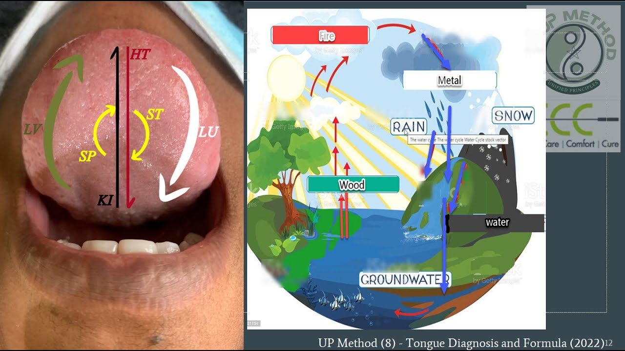 Intro of TCM Tongue Dignosis with Dr. Ching Ching Chi