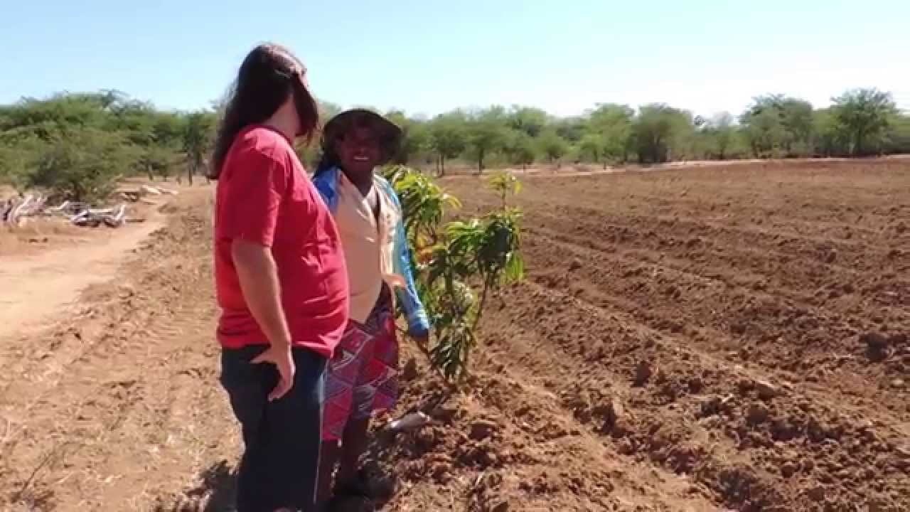 MISSÃO NORDESTE - DOCUMENTÁRIO