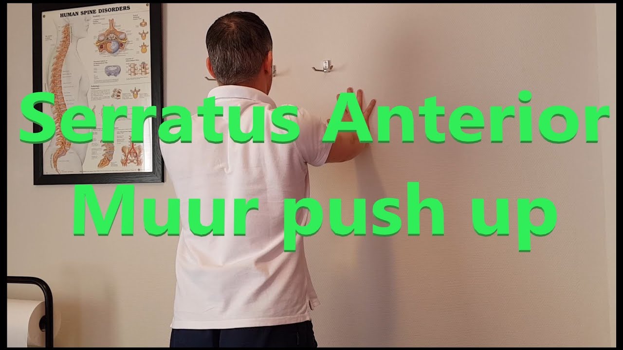 Serratus anterior muur push up schouder oefening