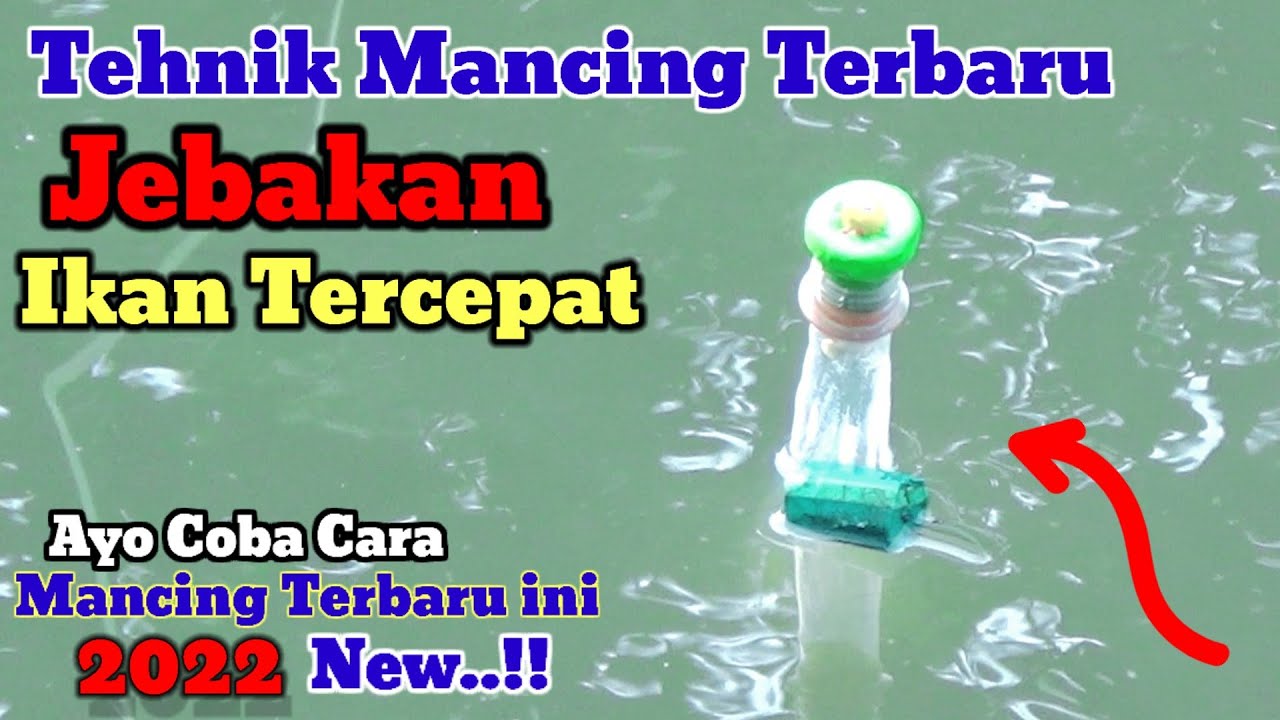 Ini Cara Baru Mancing Belanak Tercepat Tanpa Ribet Di Spot Mancing Liar  Tervirall