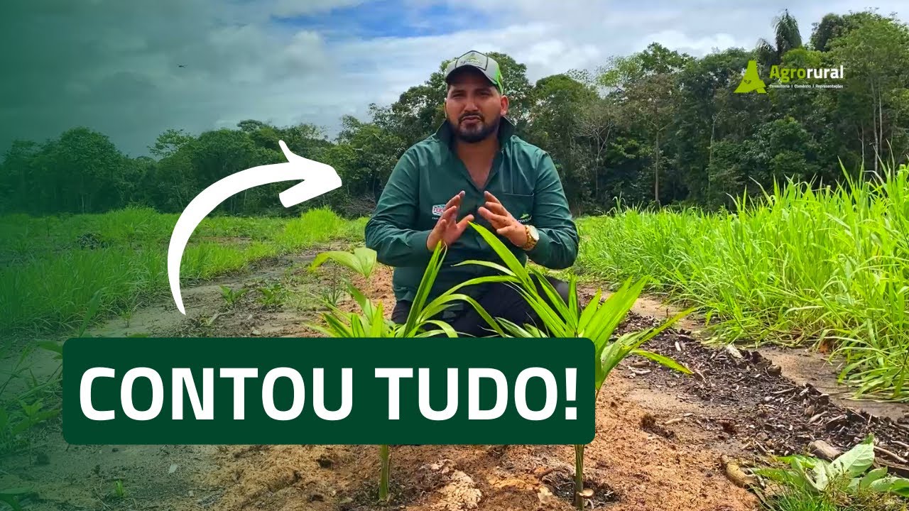 Esse é o SEGREDO dos grandes agricultores do Brasil! | AgroRural