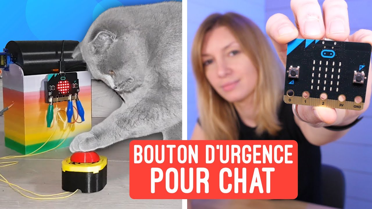 Fabriquer une machine pour récompenser votre chat avec un MicroBit