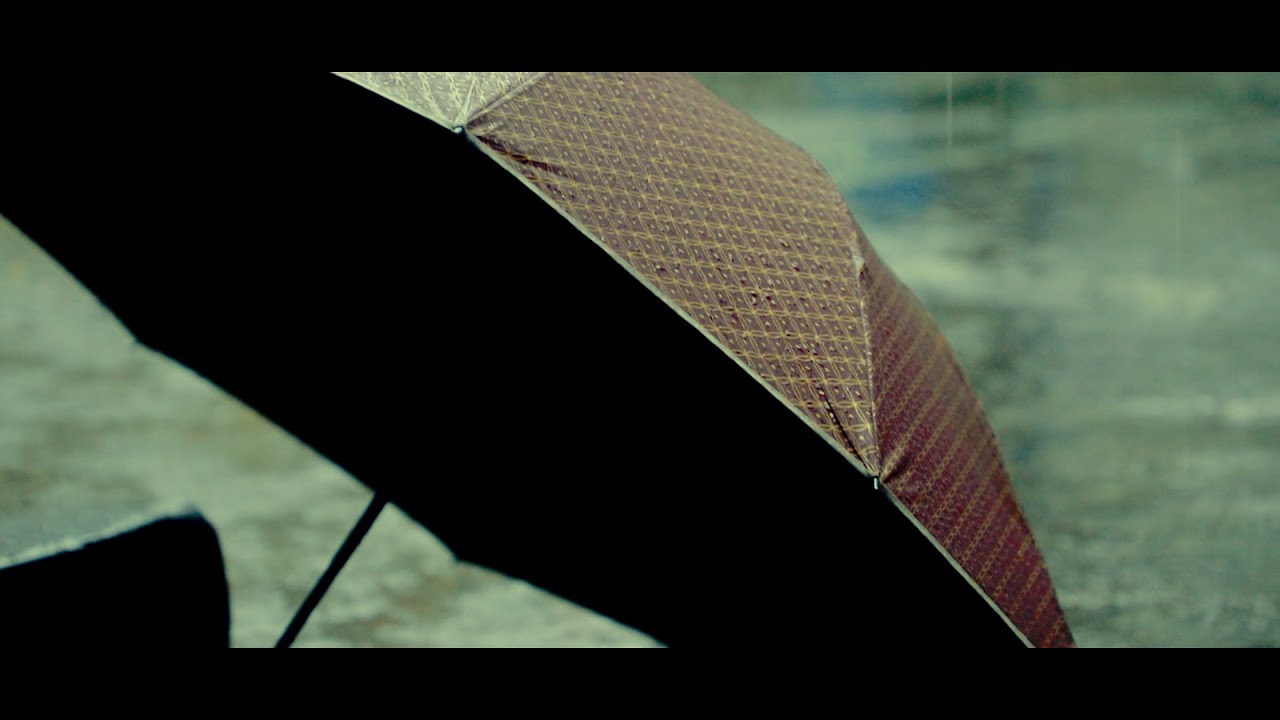 RAIN Cinematic Film  || Rainy Nature B-roll