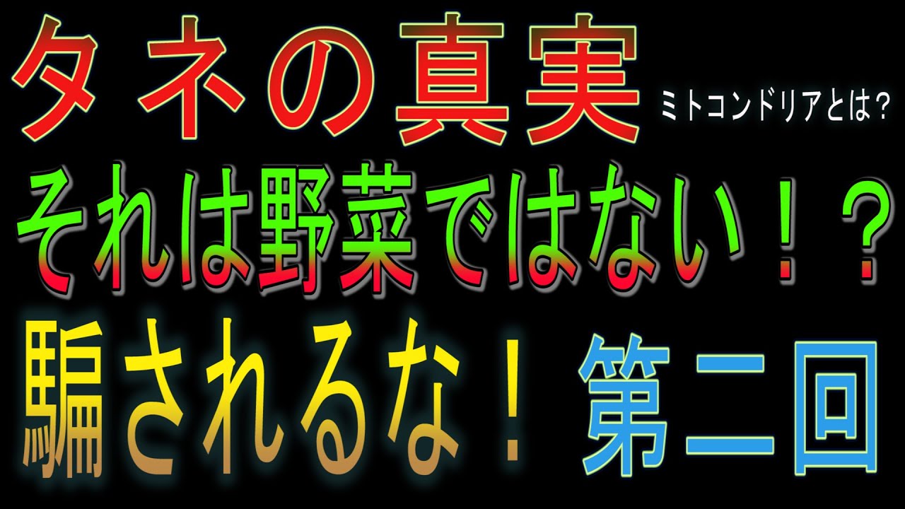 【野口のタネ】知られざる種のしくみをわかりやすく徹底解説！いのちの種を未来へつなごう！人類が代々受け継いできた、その気候風土に合う優良な種子を守り普及してきた野口勲氏インタビュー 第二回