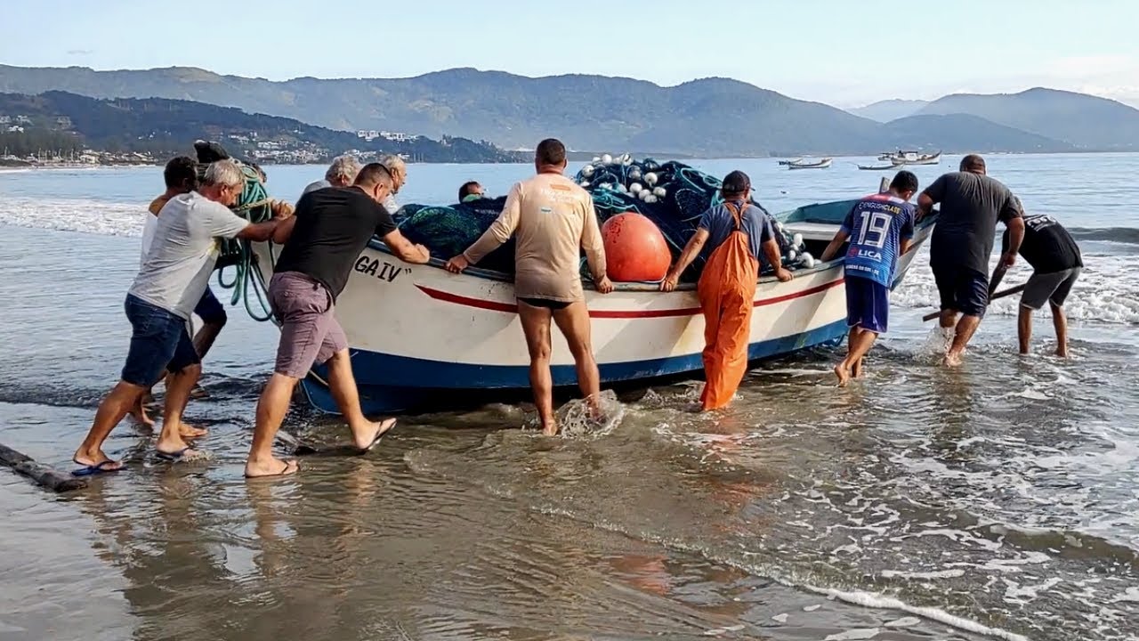 Safra da tainha, 2024, 11-05-24, Garopaba, SC, embarcações, peixes e cerco frustrado na Vigia.#pesca