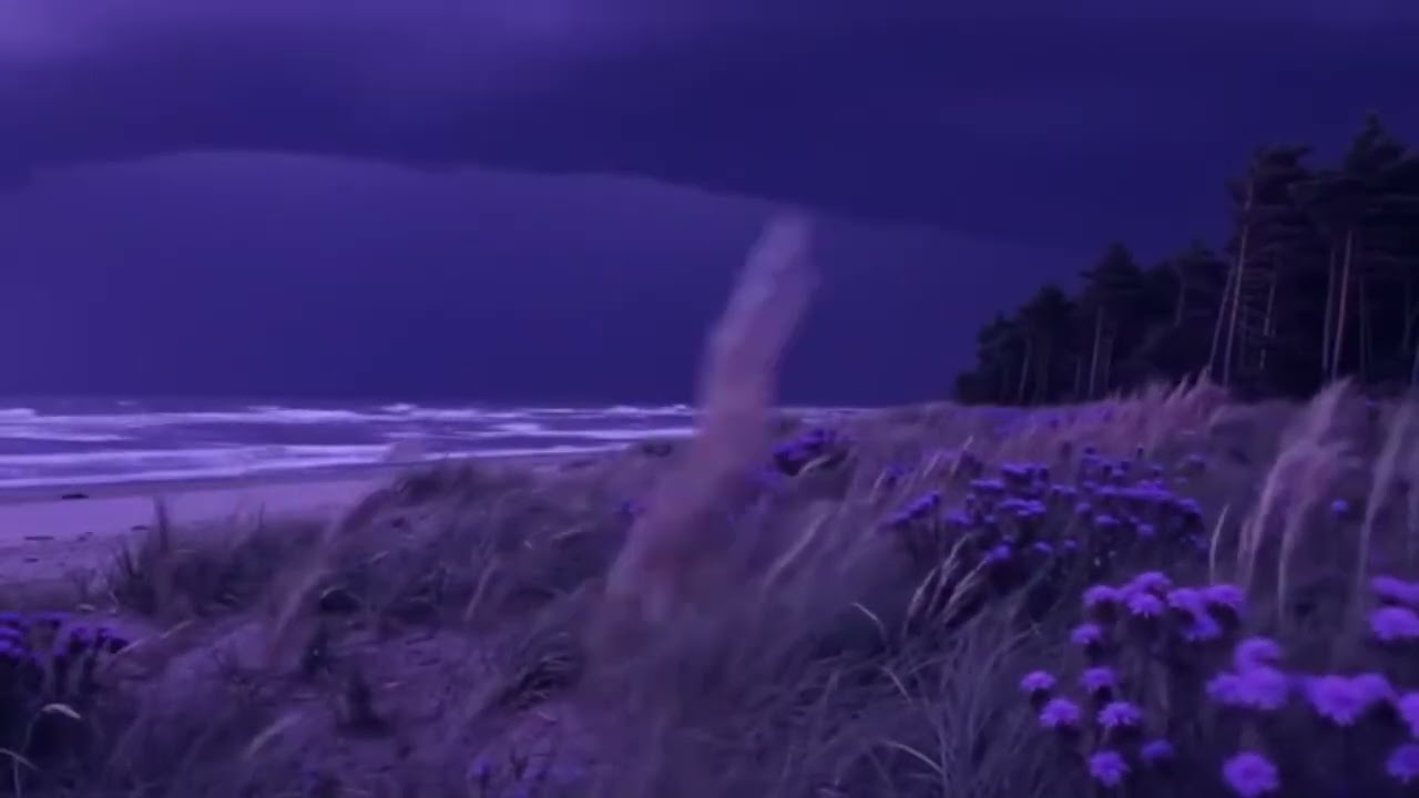 [FREE FOR PROFIT] sample x ambient type beat (𝙨𝙥𝙚𝙙 𝙪𝙥/𝙣𝙞𝙜𝙝𝙩𝙘𝙤𝙧𝙚)