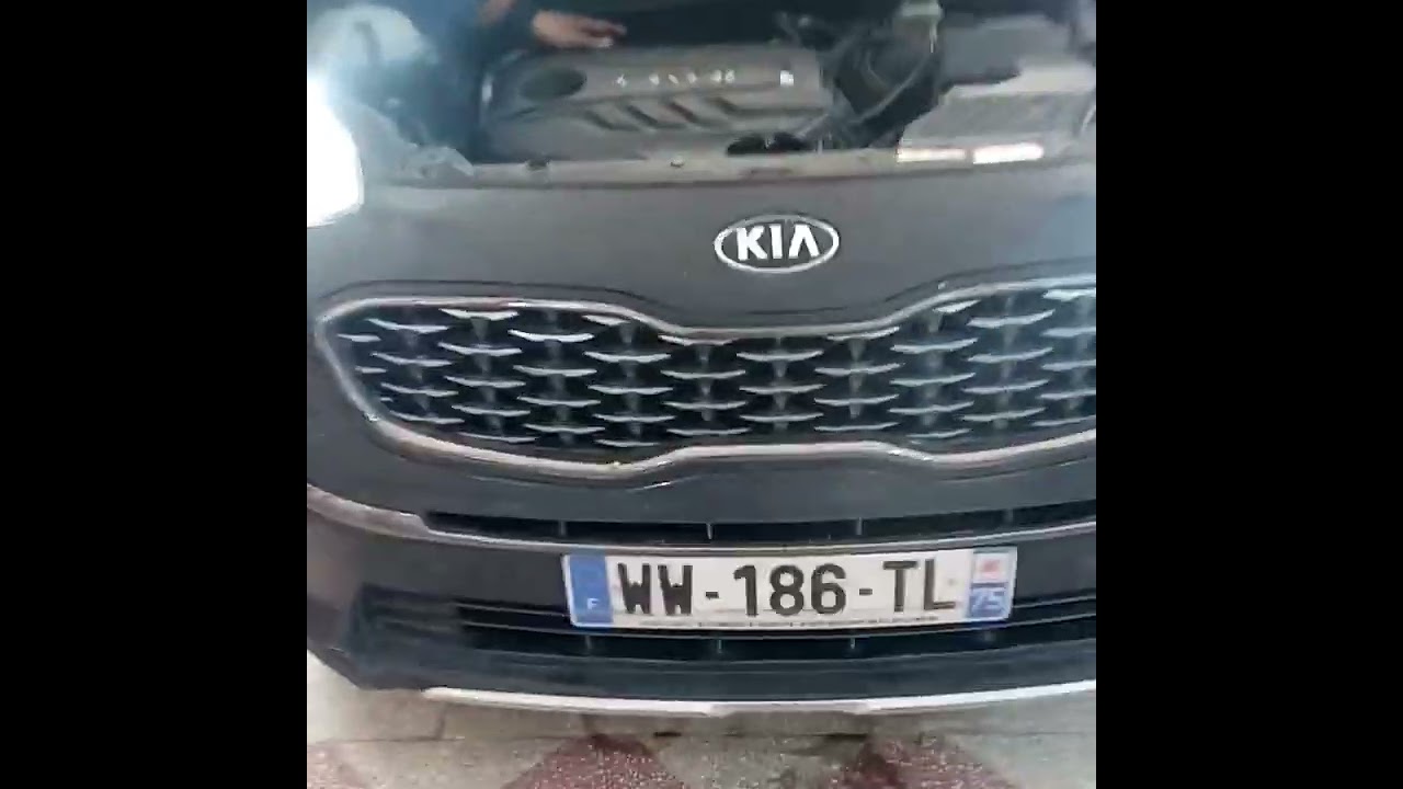 PROBLÈME FAP KIA SPORTAGE 2022 code défaut p2463