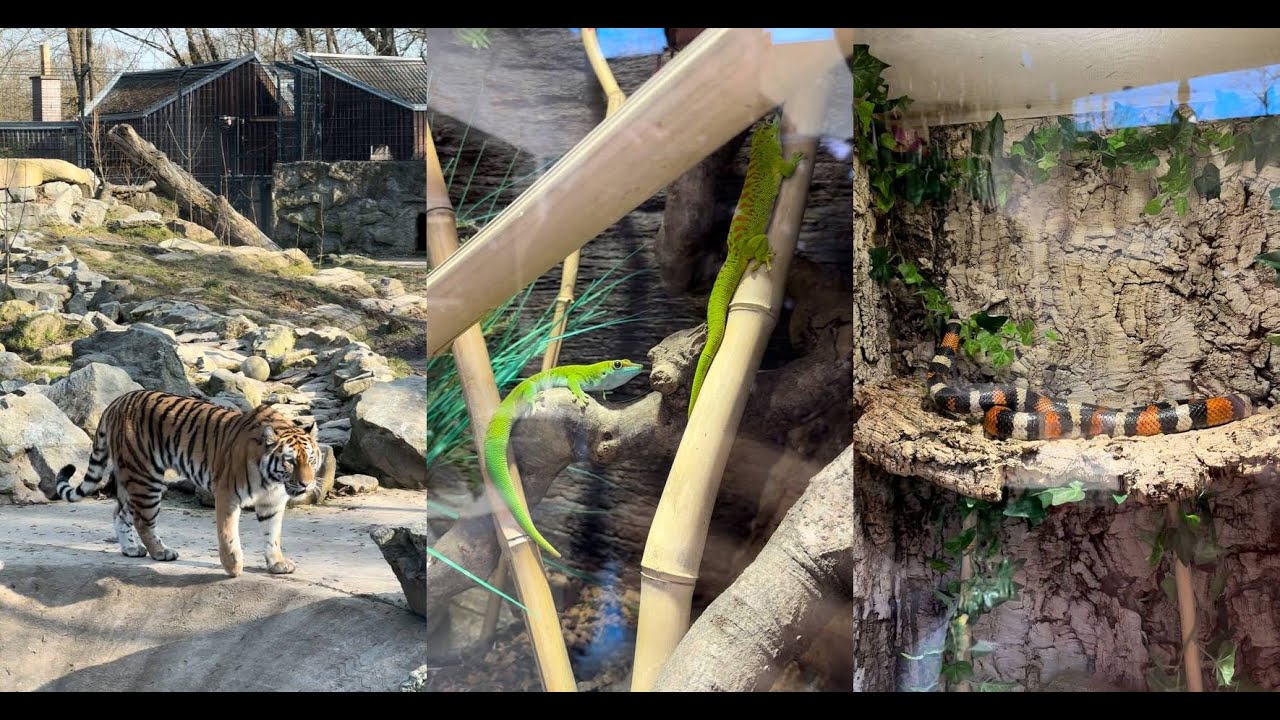 Tiergarten - Straubing Zoo