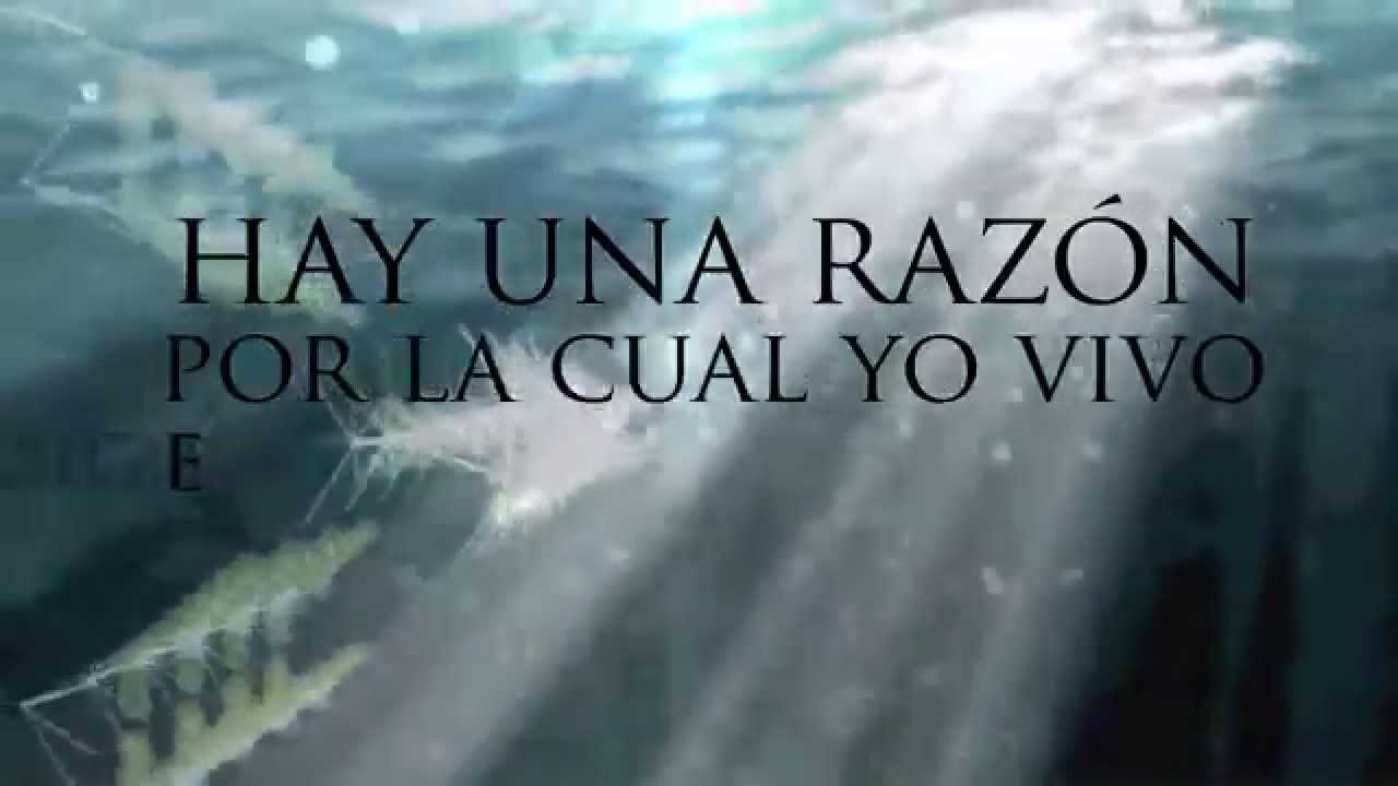 ADF - Estaré contigo (Official Lyric Video)