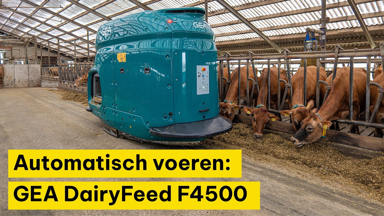 Automatisch voeren: GEA DairyFeed F4500