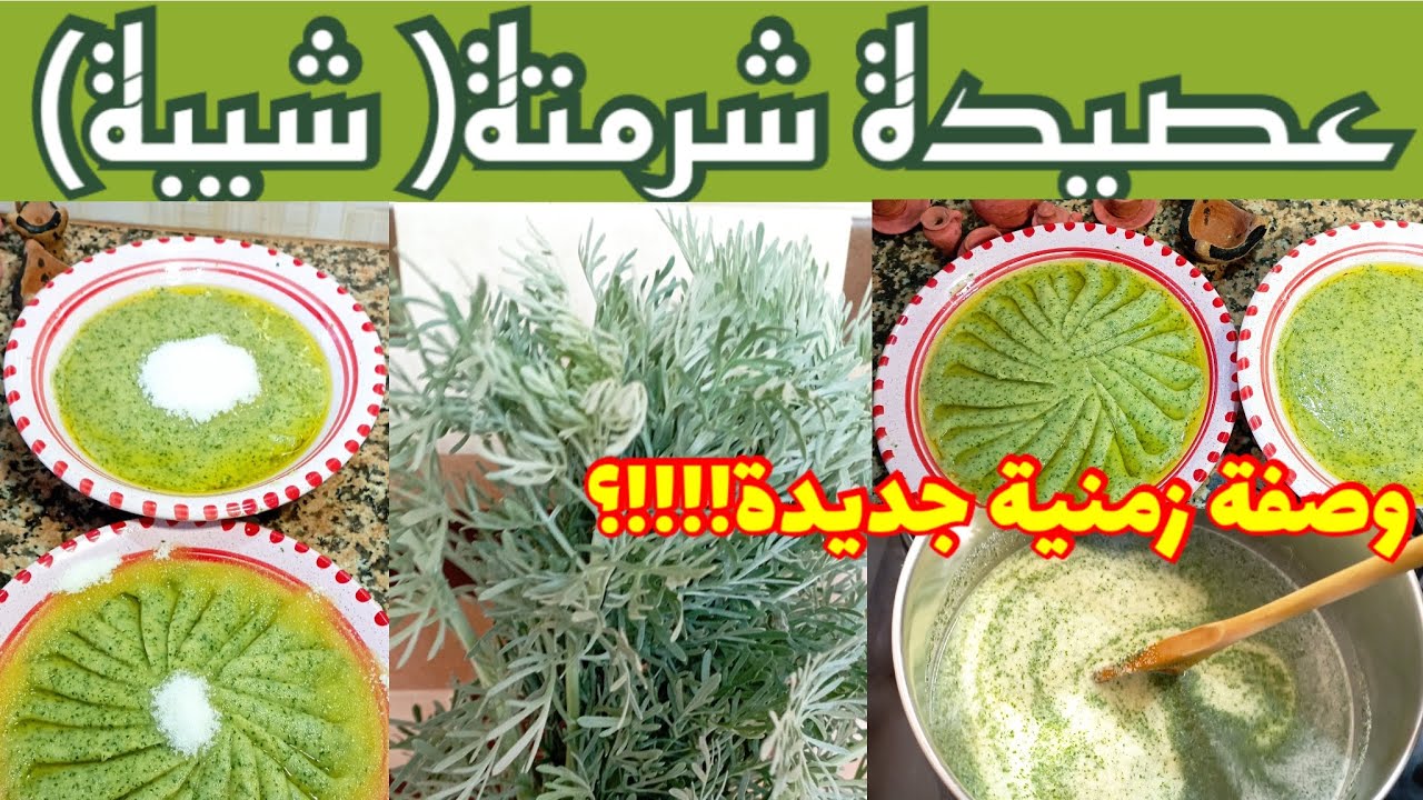 جرب عصيدة شرمتة عمرك ما تندم/ عصيدة الشيبة/ عصيدة بنزرتية متالية زمنية كلها منفعة/ حصري على اليوتيوب