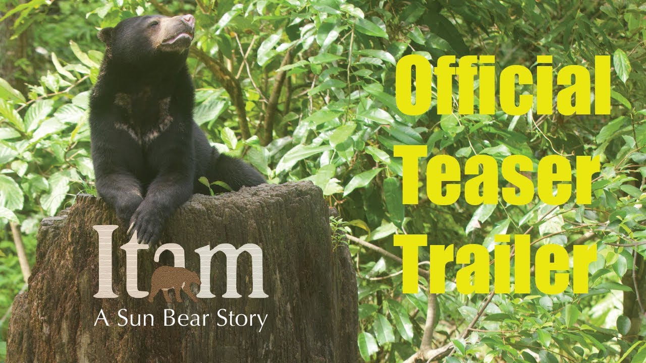 Itam: A Sun Bear Story | Official Teaser Trailer