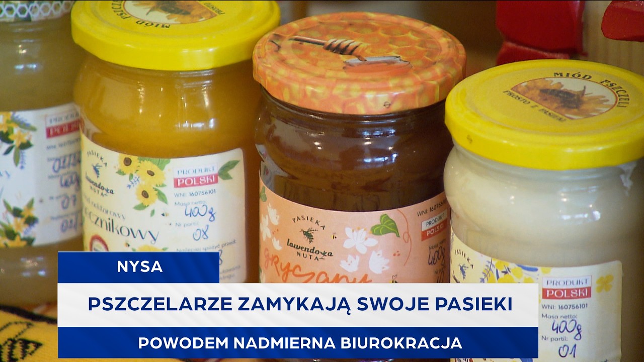 Pszczelarze zamykają swoje pasieki. Powodem nadmierna biurokracja