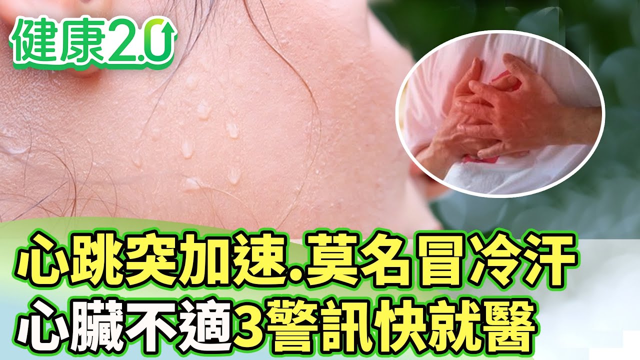 心跳突加速.莫名冒冷汗 心臟不適3警訊快就醫【健康2.0 分段】@tvbshealth20  EP3038-3  20250608 #陳欣湄#韋汝#蘇宗柏#吳吉妮#鄒瑋倫#林秋香#芳瑜